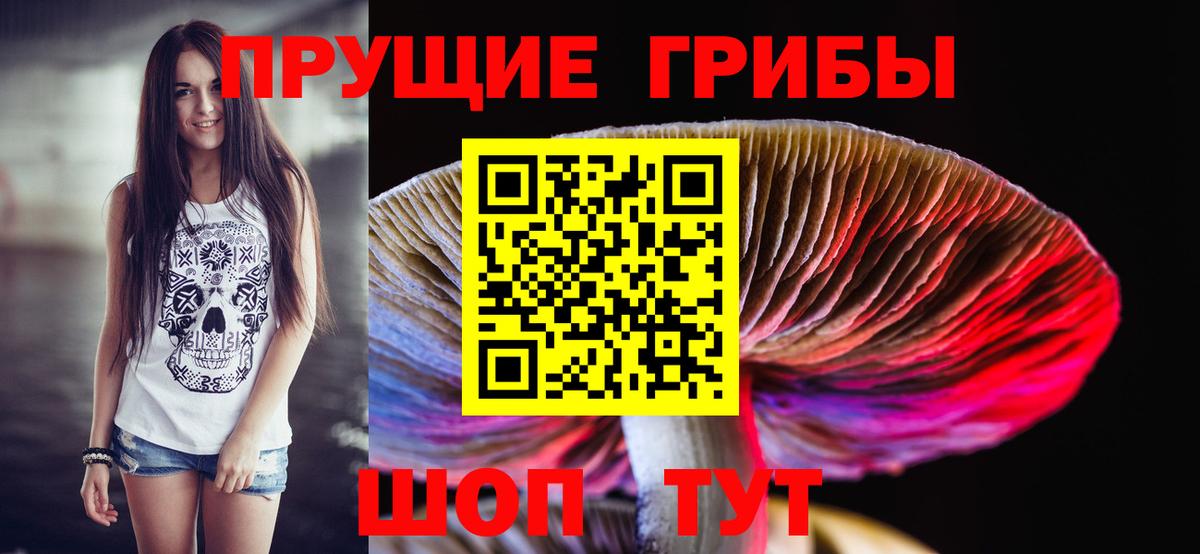 Узловая  Псилоцибиновые грибы MAGIC MUSHROOMS  Вход с VPN  Псилоцибиновые грибы Cubensis 